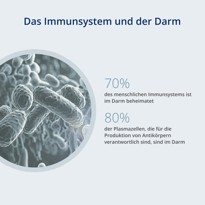 das Immunsystem und der Darm