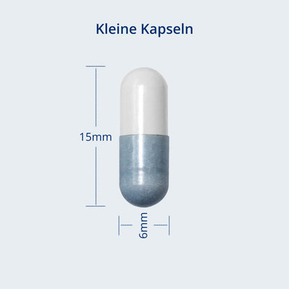 Kapselgröße