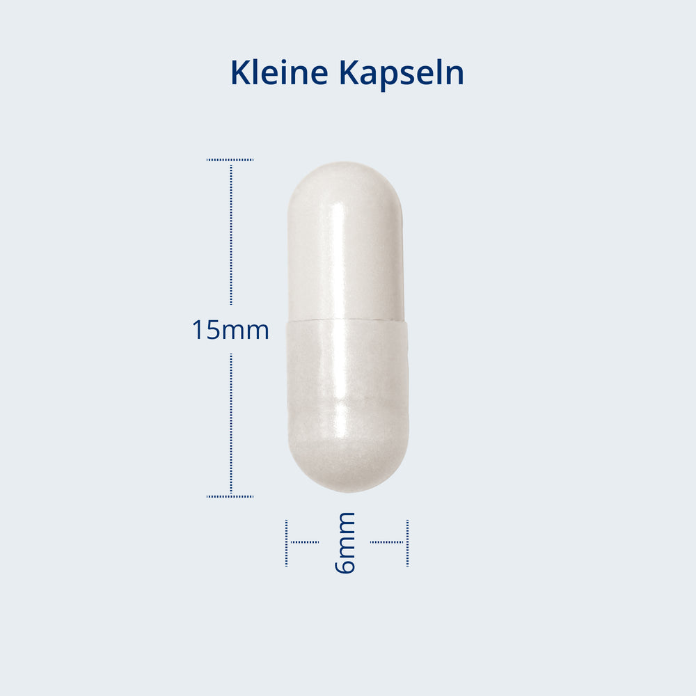 Kapselgröße