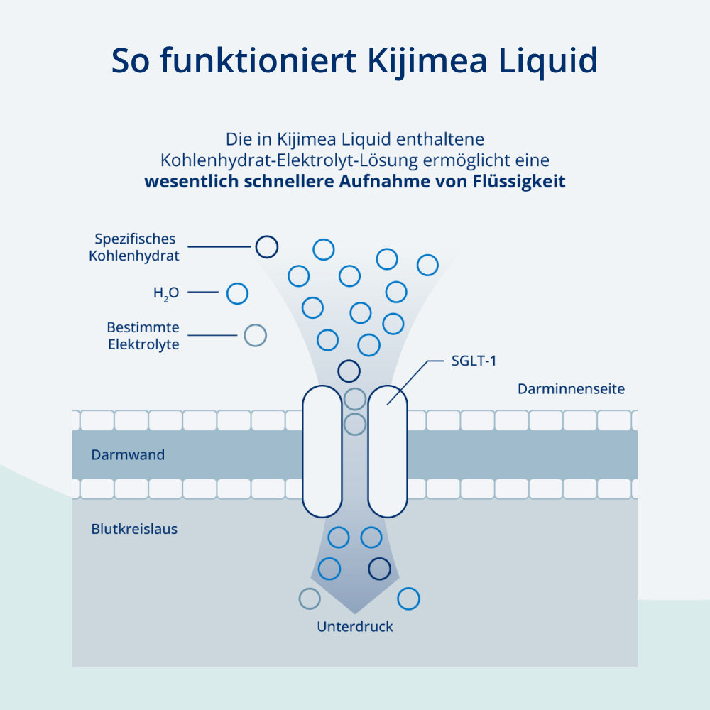 Funktionsweise