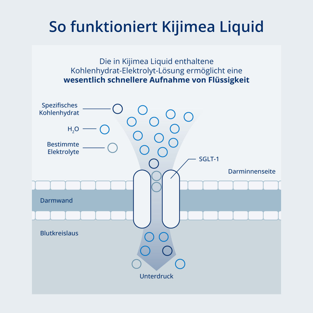 Funktionsweise