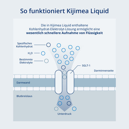 Funktionsweise